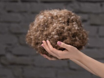 Одеяло German Grass EXCLUSIVE COTTON EIDER DOWN всесезонное 220х240