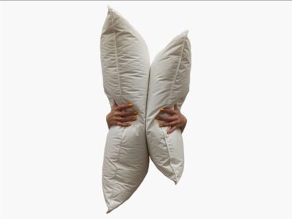 Подушка Nature’S-Natura Sanat Воздушный пух средняя 70х70