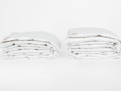 Одеяло German Grass Silver Down Grass всесезонное Light 220х240