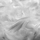 Подушка Nature’S-Natura Sanat Для мужчин 50х70