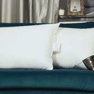 Подушка Trois Couronnes Princess Down Pillow 70х70